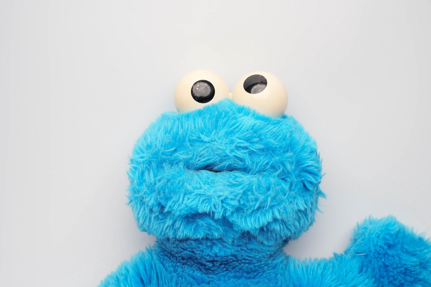 Cookie Monster Knuffel (Applause) – 50 cm / 20 inch
