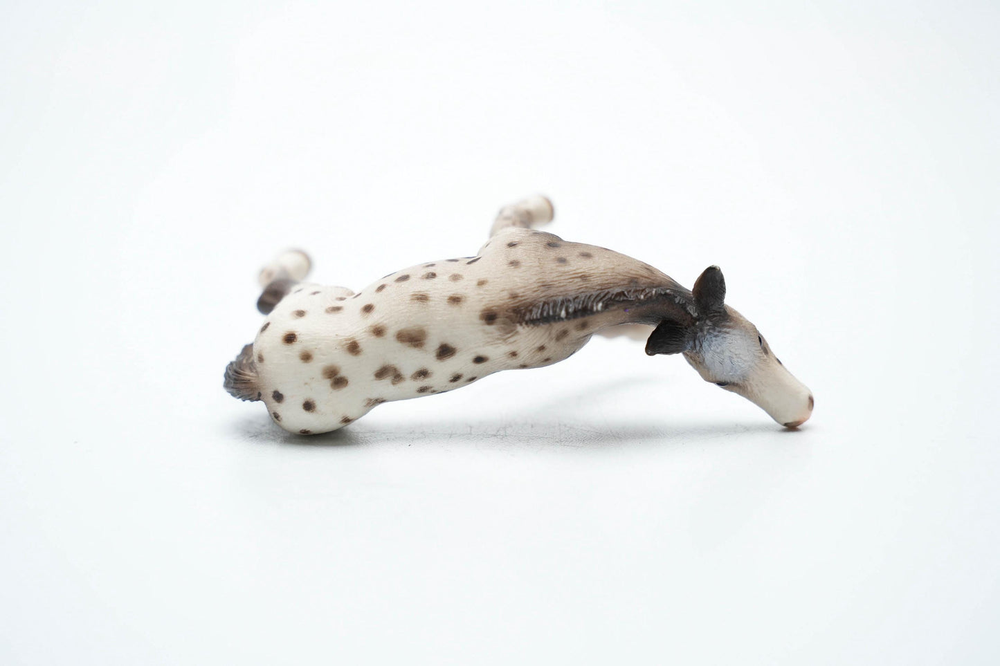 Schleich 13619 Knabstrupper Veulen – 6 cm (ca. 2.4 inch) – 2006 – Zeldzame Vintage Figurine