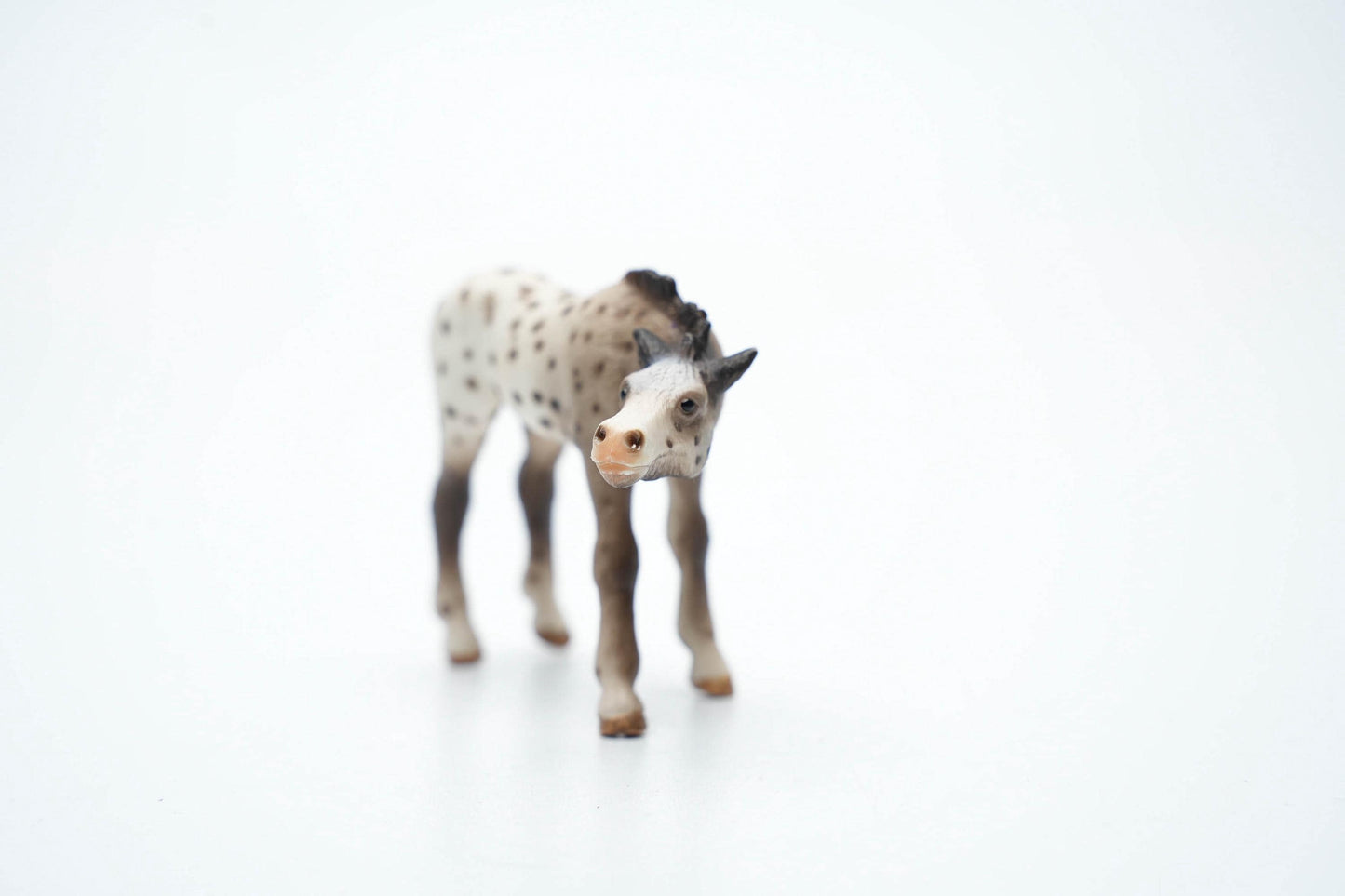 Schleich 13619 Knabstrupper Veulen – 6 cm (ca. 2.4 inch) – 2006 – Zeldzame Vintage Figurine