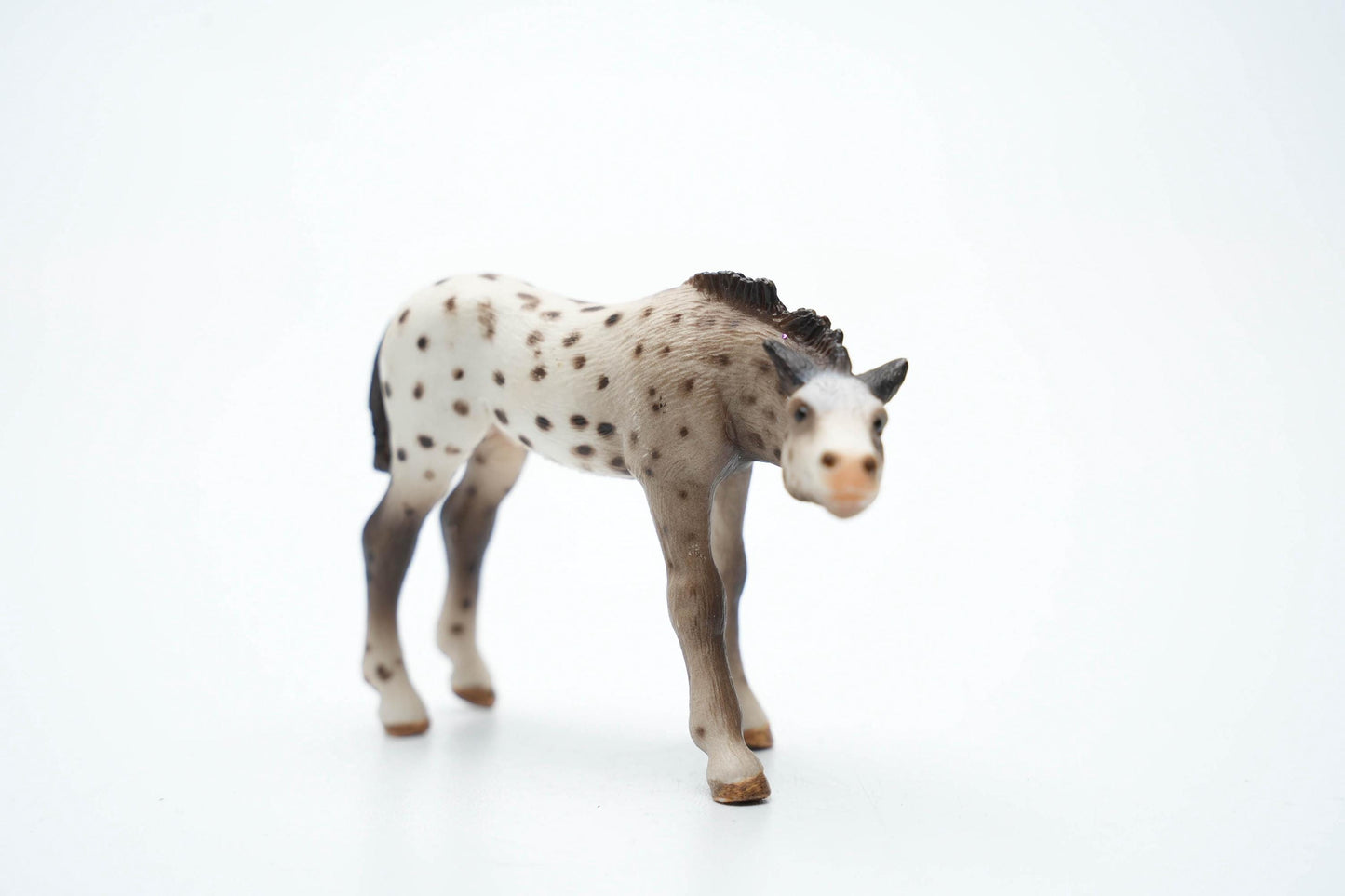 Schleich 13619 Knabstrupper Veulen – 6 cm (ca. 2.4 inch) – 2006 – Zeldzame Vintage Figurine