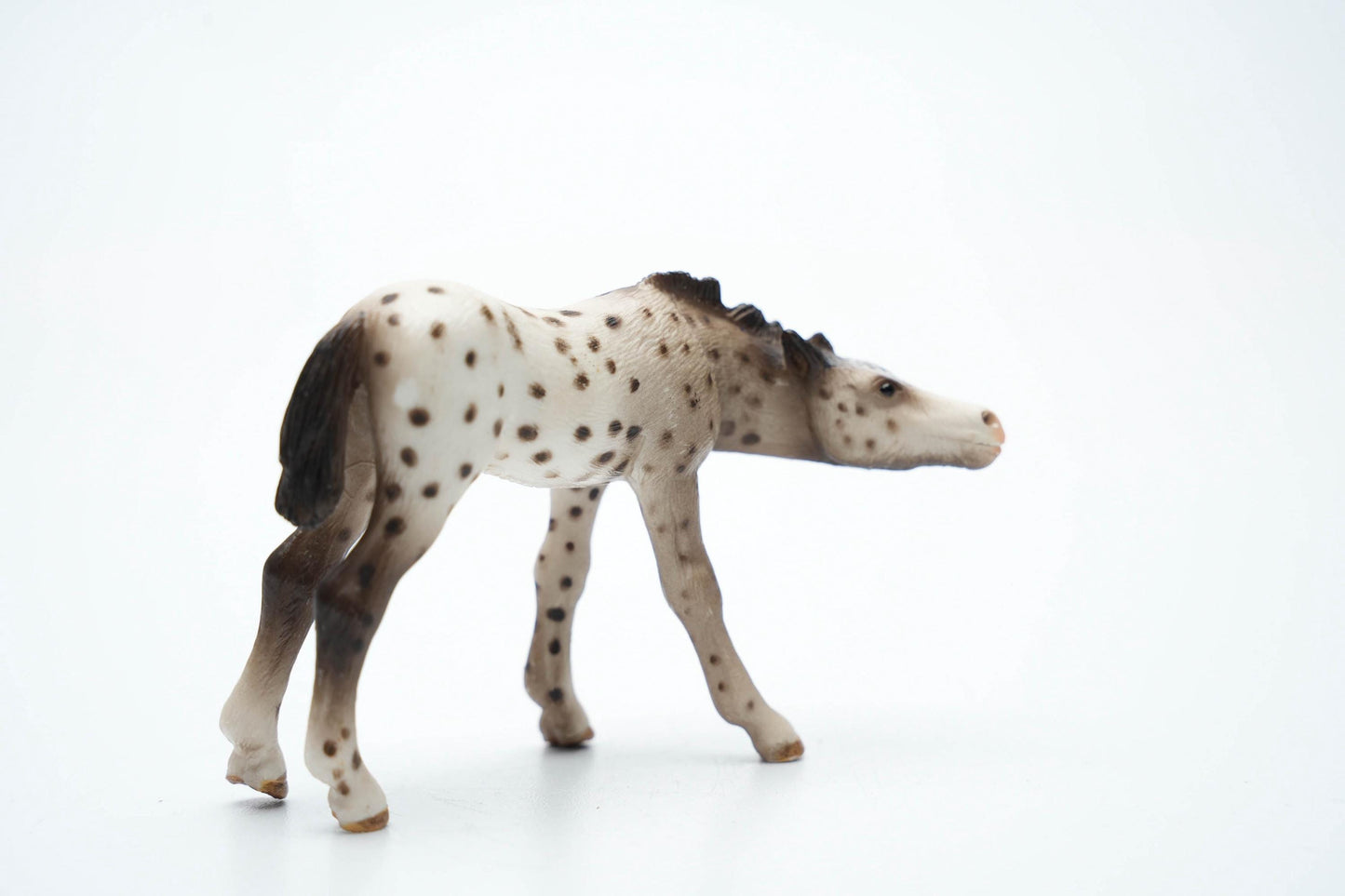 Schleich 13619 Knabstrupper Veulen – 6 cm (ca. 2.4 inch) – 2006 – Zeldzame Vintage Figurine