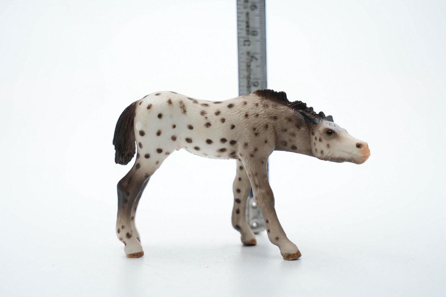 Schleich 13619 Knabstrupper Veulen – 6 cm (ca. 2.4 inch) – 2006 – Zeldzame Vintage Figurine