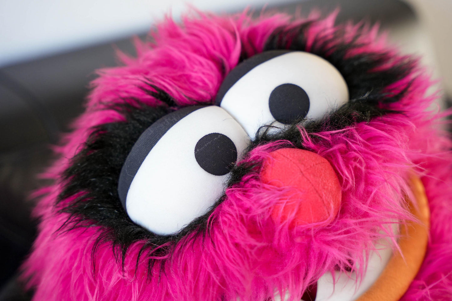 Enorme Vintage Animal Knuffel – Jim Henson – 115 cm / 45.3 inch / 3.77 ft – The Muppets – Zeldzaam XXL Verzamelobject